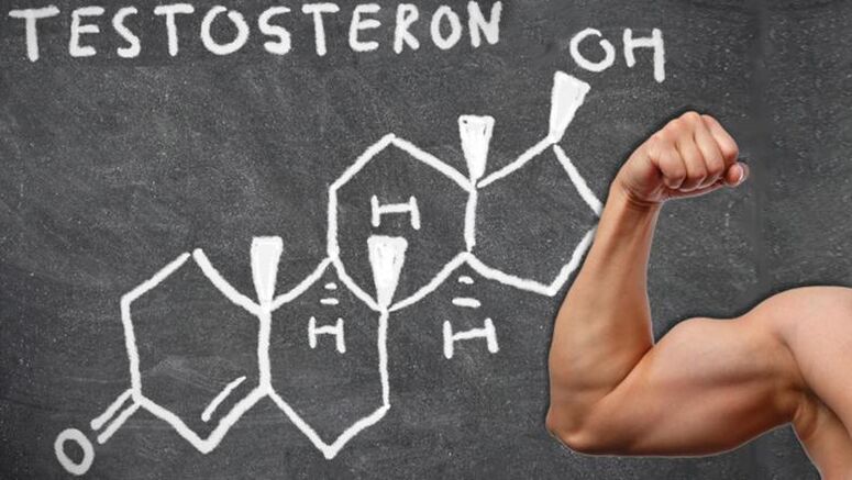 Il testosterone è il più importante ormone sessuale maschile
