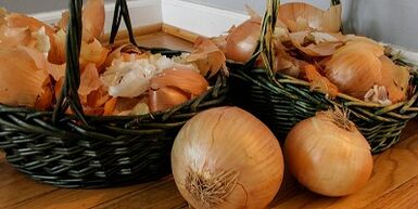 Conchiglie di cipolle per aumentare la potenza